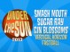 Under the Sun: Smash Mouth, Sugar Ray, Gin Blossoms, Vertical Horizon & Fastball
